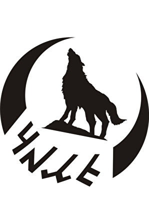 Göktürkçe Türk Yazılı Bozkurt Ve Hilal Oto özel yeni sticker Siyah 25*25 Cm MİXGİFTZ