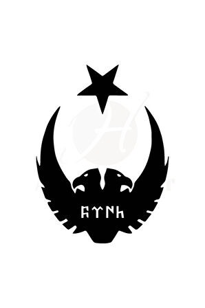 Ay Yıldız Kartal Göktürkçe Türk Oto özel yeni sticker Siyah 30*25 Cm MİXGİFTZ