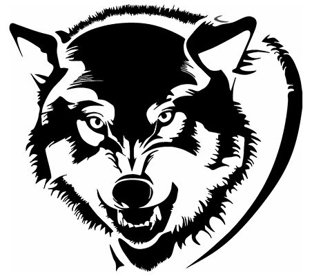 Börteçine Kurt Duvar Dekor Sticker 45 X 45 Cm MİXGİFTZ