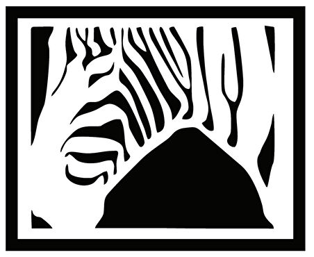 Zebra Tasarım Duvar Dekor Sticker 45 X 45 Cm MİXGİFTZ