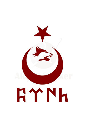 Ay Yıldız Kartal Göktürkçe Türk Oto özel yeni sticker Kırmızı 40*26 Cm MİXGİFTZ