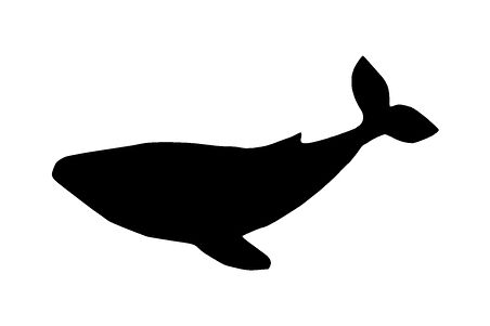 Balina Sticker 10 X 6 Cm MİXGİFTZ