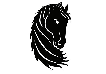 At Kafası Sticker 10 X 17 Cm MİXGİFTZ