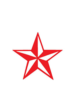 Deniz Yıldızı Tasarım Sticker 10 X 10 Cm MİXGİFTZ