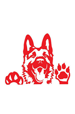 Kurt Köpeği Tasarım Sticker 10 X 9 Cm MİXGİFTZ
