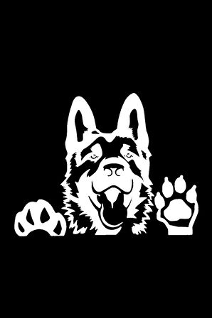 Kurt Köpeği Tasarım Sticker 10 X 9 Cm MİXGİFTZ