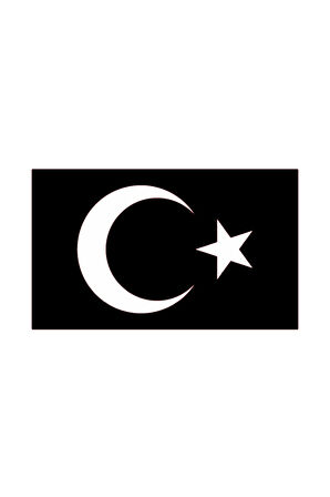 Türk Bayrağı Sticker 10 X 6 Cm MİXGİFTZ