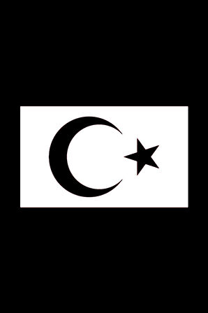 Türk Bayrağı Sticker 10 X 6 Cm MİXGİFTZ