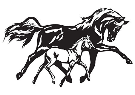 At Ve Yavrusu Tip 1 Sticker 10 X 6 Cm MİXGİFTZ