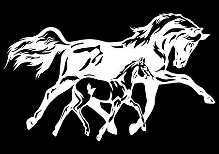 At Ve Yavrusu Tip 1 Sticker 10 X 6 Cm MİXGİFTZ