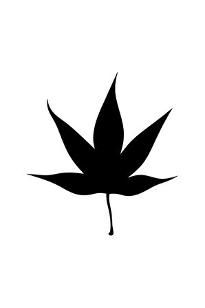 Çınar Yaprağı Sticker 10 X 11 Cm MİXGİFTZ