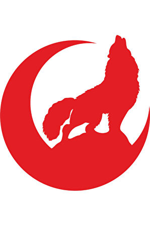 Bozkurt Hilal Oto Cam özel yeni sticker Kırmızı 20*20 Cm MİXGİFTZ