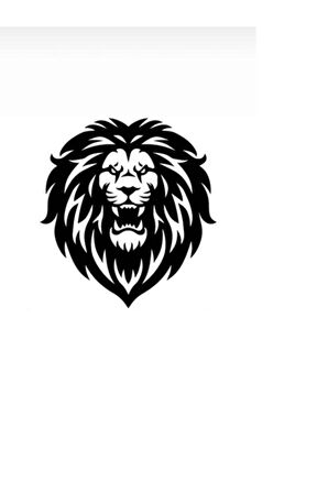 Aslan Tasarımlı Oto özel yeni sticker 20*20 Cm MİXGİFTZ