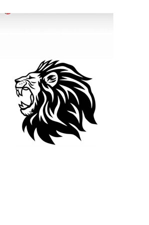 Aslan Tasarımlı Oto özel yeni sticker 40*40 Cm MİXGİFTZ