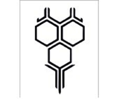 Tüm Araçlar İçin uyumlu Aksesuar Ön Kaput Bal Peteği Siyah özel yeni sticker 58*35 Cm MİXGİFTZ