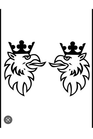 Kral Kartal Çift Kapı Oto özel yeni sticker 40*40 Cm MİXGİFTZ