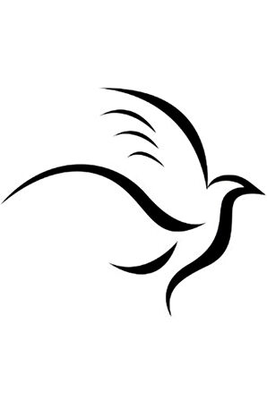 Uçan Kuş Oto özel yeni sticker 25 x 20 cm MİXGİFTZ