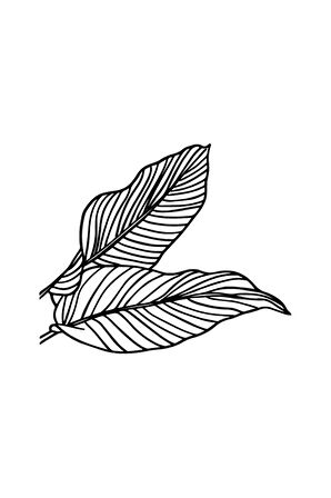 Modern Yapraklar Duvar Dekor Sticker 40 X 32 Cm MİXGİFTZ