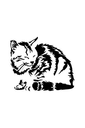Uyuyan Kedi Duvar Dekor Sticker 40 X 32 Cm MİXGİFTZ