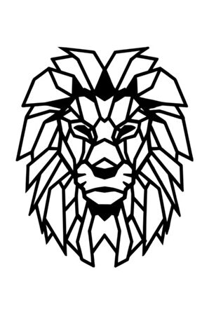 Aslan Tasarımlı Oto özel yeni sticker 25 x 30 cm MİXGİFTZ