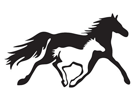 At Ve Yavrusu Model 2 Oto özel yeni sticker 30 x 18 Cm MİXGİFTZ