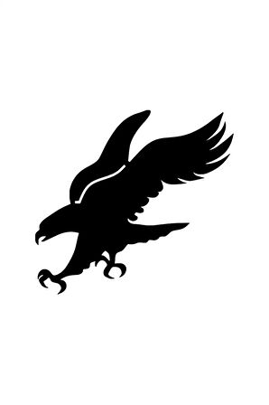 Avlanan Kartal Oto özel yeni sticker Siyah 30 x 27 cm MİXGİFTZ