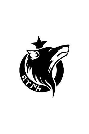 Bozkurt Ay Göktürkçe Oto özel yeni sticker Siyah 30 x 36 cm MİXGİFTZ