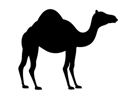 Deve Oto özel yeni sticker 30 x 24 Cm MİXGİFTZ