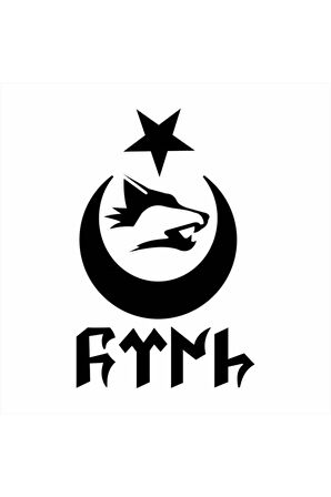 Göktürkçe Türk Kurt Hilal Oto özel yeni sticker 25 x 37 cm MİXGİFTZ