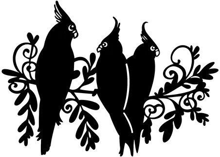 Papağan Ailesi Oto özel yeni sticker 30 x 21 Cm MİXGİFTZ