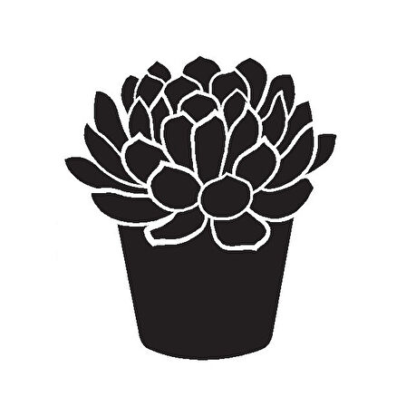 Saksı Çiçeği Kaktüs Model 1 Oto özel yeni sticker 25 x 27 Cm MİXGİFTZ