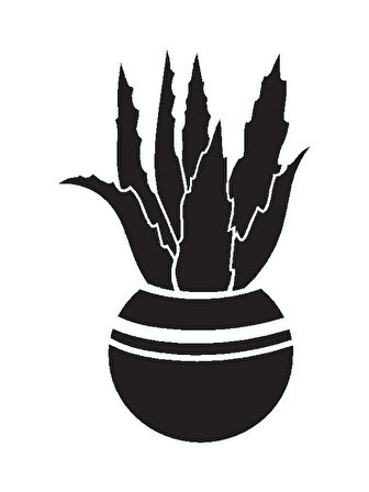 Saksı Çiçeği Kaktüs Model 3 Oto özel yeni sticker 20 x 32 Cm MİXGİFTZ