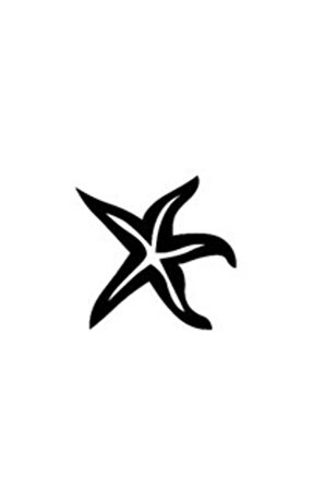 Denizyıldızı Oto özel yeni sticker 25 x 22 cm MİXGİFTZ