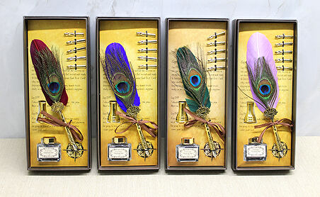 Divit Hokka Seti Alk4730