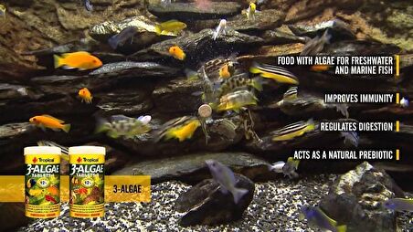 250 Adet Tropical 3-Algae Tablets A Kovadan Bölme Tablet Balık Yemi