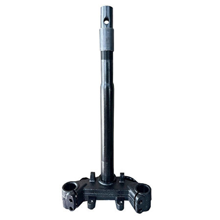 Mondial Turismo 50 Ön Maşa