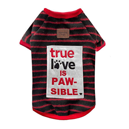 Alphadog Black True Love Küçük Irk Köpek Kazağı