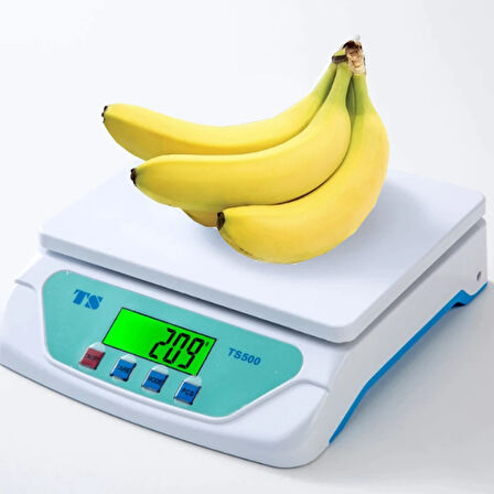 Besa TS-500 30 Kg Kapasiteli Terazi