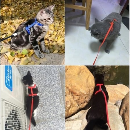 #KediTasması Pet Ayarlanabilir Şık Gezdirme Kayışı Konforlu Yumuşak Dokulu Özel 120 Cm Kedi Tasması