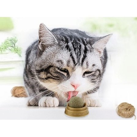 #KediTopu Doğal Catnip Duvara Yapışkanlı Döner Mekanizmalı Diş Kaşıma Eğitici Kedi Otu Oyun Topu