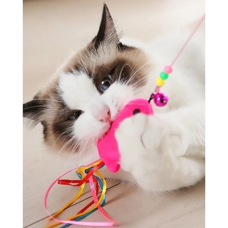 #KediOltası 90 Cm Dayanıklı Eğlenceli İnteraktif Avcılık Güdüsü Geliştiren Balıklı Kedi Oyun Oltası