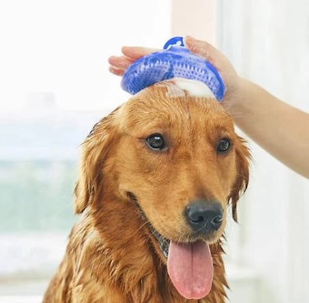 #Fırça Kedi Köpek Masaj Etkili Ergonomik Yumuşak Evcil Hayvan Silikon Tüy Toplama Yıkama Fırçası