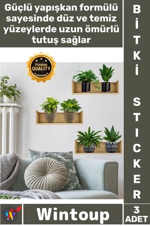 #Sticker Dekoratif Şeffaf Lazer Kesim Raflı Bitki Tasarımlı Yapışkanlı Sticker 20 x 30 Cm 3'lü Set