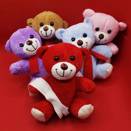 #Ayıcık Yumuşak Dokulu Kaliteli 23 Cm Atkılı Hediye Oyuncak Sevimli Figür Estetik Renkli Peluş Ayıcı