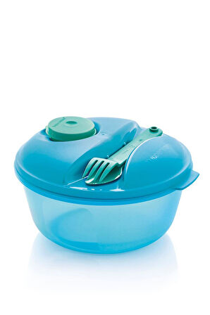 Salata Kabı