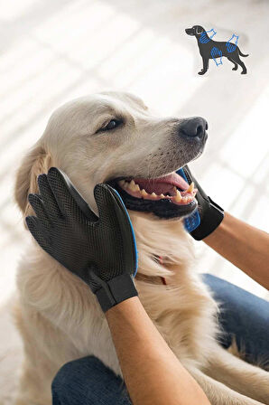 Kedi & Köpek Tüy Toplama Masaj Ve Kaşıma Eldiveni
