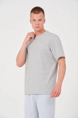 Erkek Düz Penye Tişört Bisiklet Yaka Kısa Kol Regular Fit T-Shirt - Gri