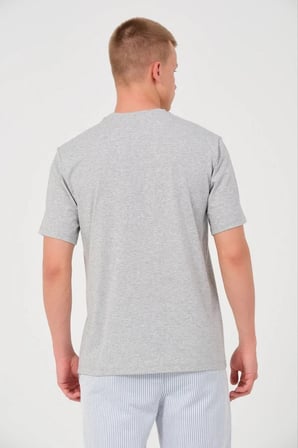 Erkek Düz Penye Tişört Bisiklet Yaka Kısa Kol Regular Fit T-Shirt - Gri