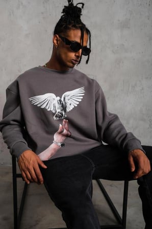 Erkek Güvercin Baskılı  iplik pamuklu Bisiklet Yaka Sweatshirt - Gri