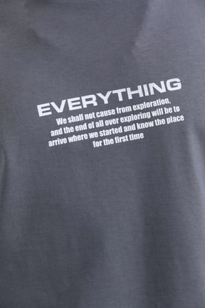 Erkek Tişort  Bisiklet Yaka Baskılı Oversize T-Shirt - Gri